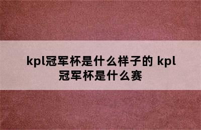 kpl冠军杯是什么样子的 kpl冠军杯是什么赛